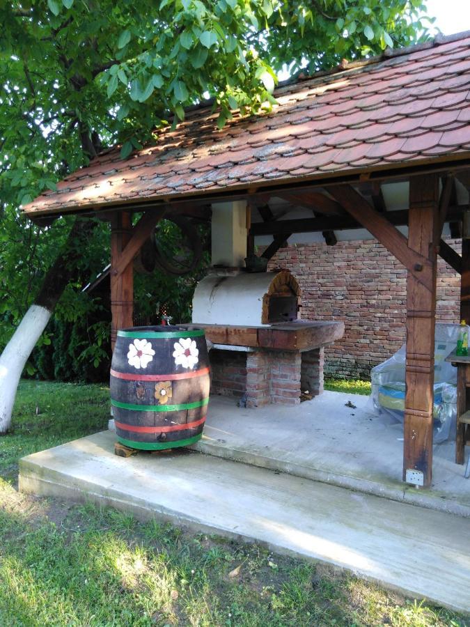 Umjetnicka Etno Kuca Luka Apartment Podravske Sesvete Luaran gambar